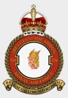 350 Squadron_RAF_03