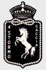 4 Stormo AM Grosseto03